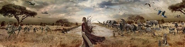 ウクライナ北東部ハリコフの動物園の被害　Damage to the zoo in Kharkov, northeastern Ukraine