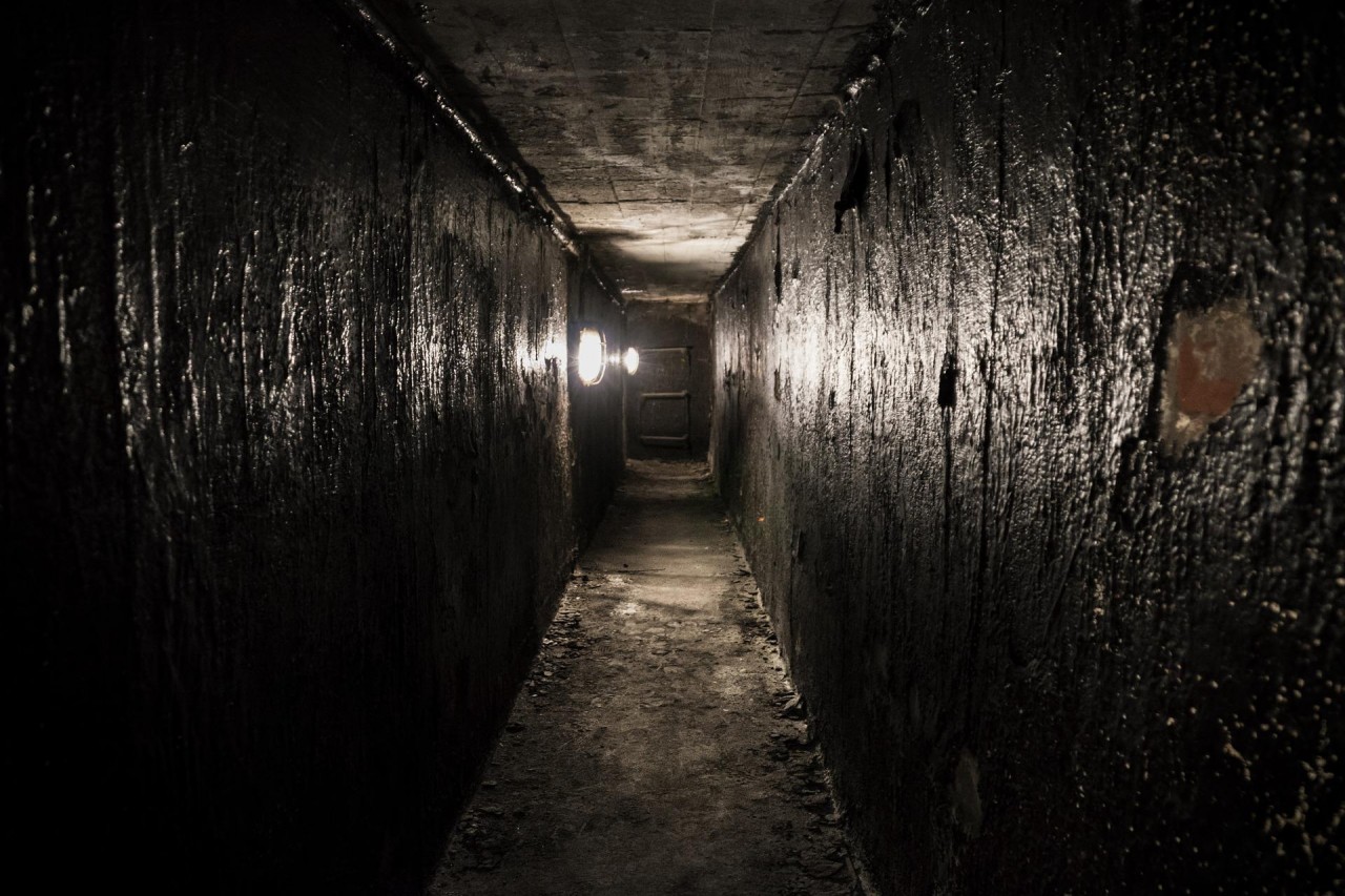 「ハエも通らないように封鎖」の悲劇　The tragedy of 　