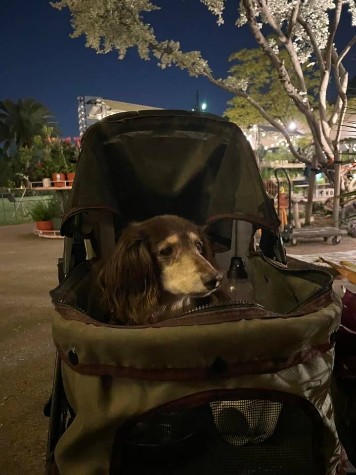 無名人ブロガーの葛藤　Conflict of Anonymous Blogger