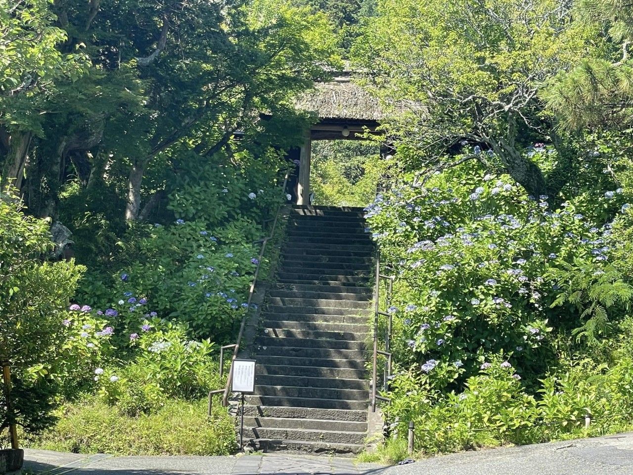 「縁切寺」の歌詞をもとに、ChatGPTに小説を書いてもらったら・・。GPT４プラグイン「Stories」がつくったストーリー楽しすぎた。