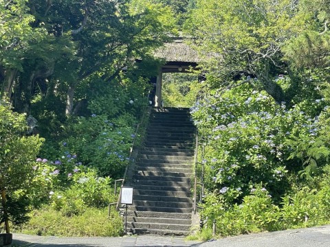 「縁切寺」の歌詞をもとに、ChatGPTに小説を書いてもらったら・・。GPT４プラグイン「Stories」の創作作品楽しすぎた。