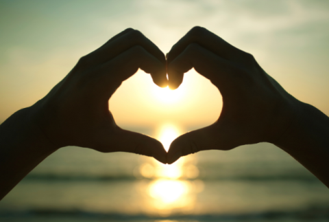 【movie73】家族愛があふれる涙腺崩壊映画「Coda コーダあいのうた」