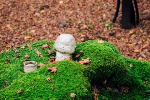 京都大原古民家暮らしのベニシアさんが残してくれた手作り暮らしの素敵