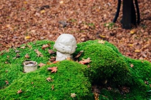 京都大原古民家暮らしのベニシアさんが伝えてくれた手作り暮らしの素敵